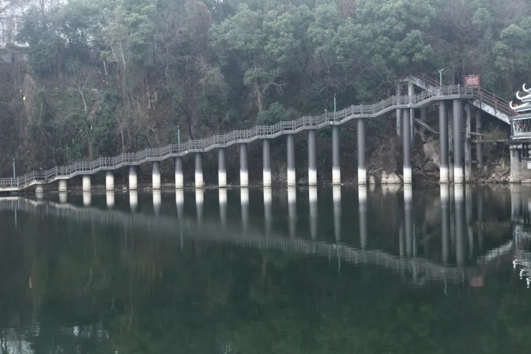 DƬ